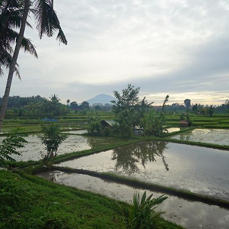 Santun Luxury Private Villas Ubud Rom bilde