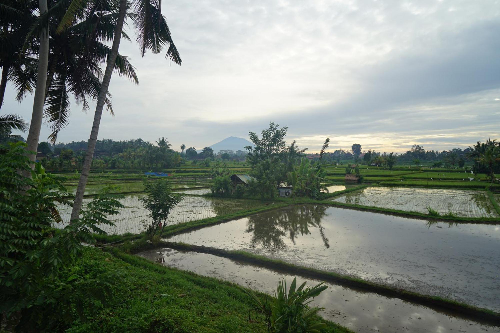 Santun Luxury Private Villas Ubud Rom bilde